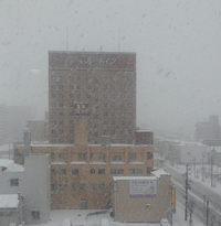 雪が舞う早朝の旭川